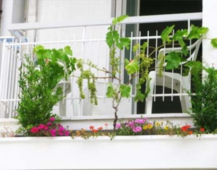 كاتوليكا B&B Residence Sorriso المظهر الخارجي الصورة